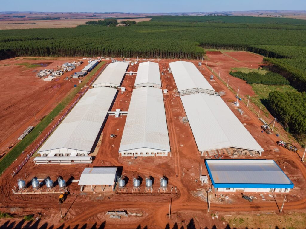 WhatsApp Image 2025-10-27 at 11.37.01