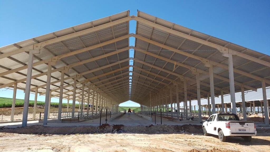 WhatsApp Image 2025-10-27 at 11.37.18