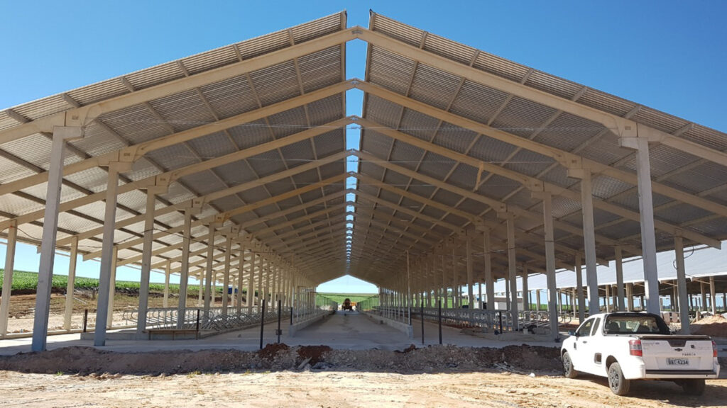 WhatsApp Image 2025-10-27 at 11.37.18