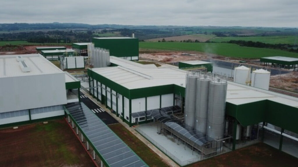 WhatsApp Image 2025-10-27 at 11.37.25