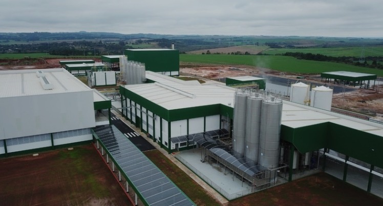 WhatsApp Image 2025-10-27 at 11.37.25